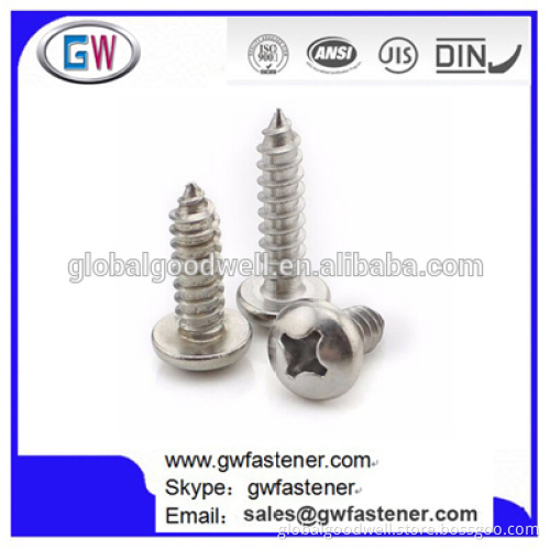 304 Stainless Steel Phillip Round Head Self Tapping Screw